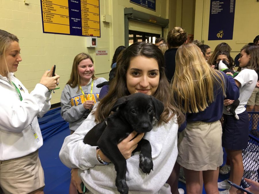 Puppies Relieve Student Stress
