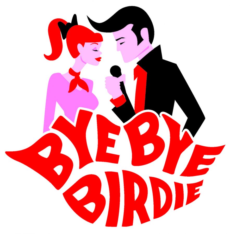 Bye Bye Birdie Virtual Showcase: How the Cast Adapts to COVID-19 Regualtions