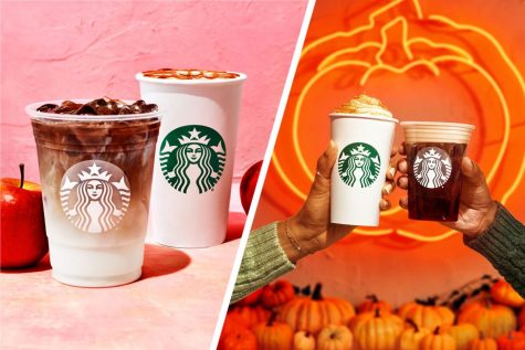 Our Starbucks Fall Favorites