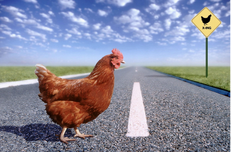 Who+was+the+Chicken+that+Crossed+the+Road%3F