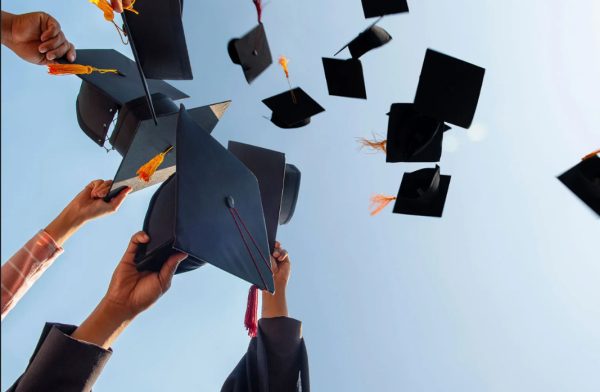 Do Degrees Measure Success?